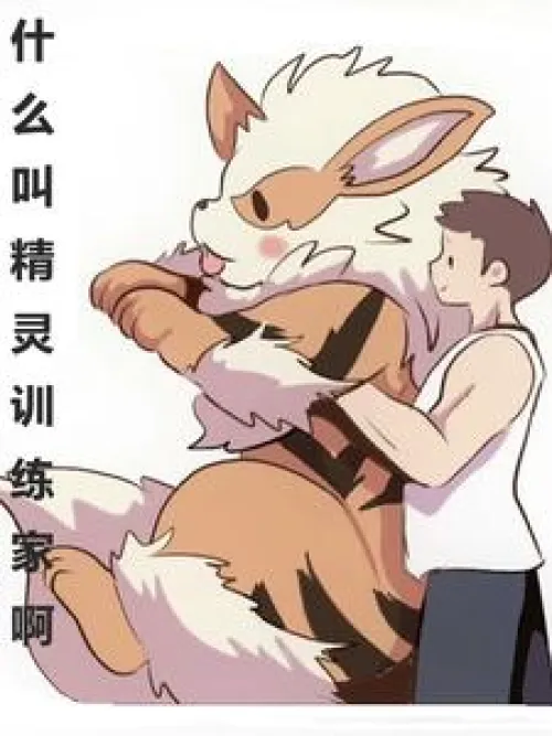 What is a Pokémon Trainer?