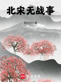 No war in the Northern Song Dynasty